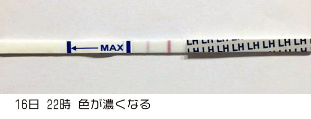 ワンステップ排卵検査薬クリア１７日 ７時