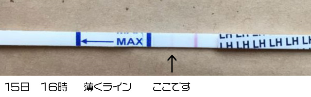 ワンステップ排卵検査薬クリア1516