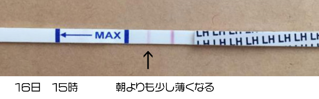 ワンステップ排卵検査薬クリア1615