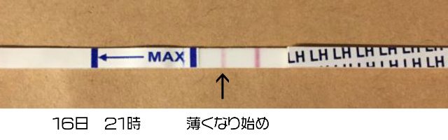 ワンステップ排卵検査薬クリア1621