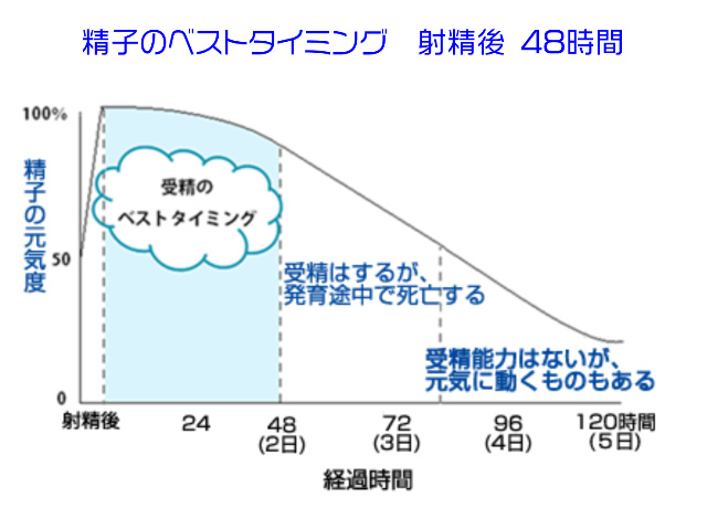 精子